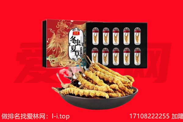福州市回收虫草.jpg